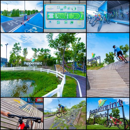 ยังมีส่วนของ Peppermint Bike Park สำหรับคนรักการปั่นจักรยานอีกด้วย แอบไปสำรวจมาแล้ว ขอบอกว่ายอดเยี่ยมจริงๆครับ พื้นที่กว้างขวาง ปั่นได้สบาย มีห้องน้ำบริการพร้อม และมีจักรยานให้เช่าด้วยนะครับ